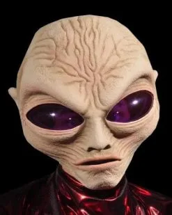 Morris "Alien Grey" Mask