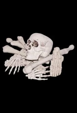 Morris "Bag Of Bones" Halloween Prop