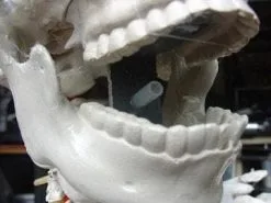 DC PROPS "Barrel Spitter Skeleton" Halloween Animatronic -Halloween Horror Decorations Shop barrel spitter skeleton halloween animatronic 8671147137