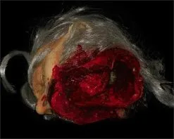 The Horror Dome "Big Mouth Severed Head" HD Studios Bloody Halloween Prop -Halloween Horror Decorations Shop big mouth severed head hd studios bloody halloween prop 8671217409