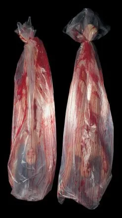 Distortions "Body Bag" Static Halloween Prop