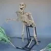 DC PROPS "Bushwacker" Skeleton Halloween Animatronic