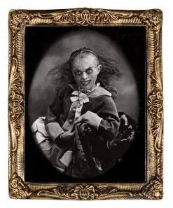 Morris "Changing Portrait - Pretty" Hanging Halloween Decoration