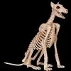 Morris Doberman Skeleton Dog Skeleton Halloween Prop -Halloween Horror Decorations Shop doberman skeleton dog skeleton halloween prop 30408654946352