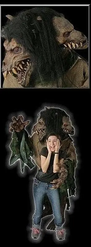 The Horror Dome "Double Trouble" HD Studios Costume 5 The Horror Dome "Double Trouble" HD Studios Costume - Image 3