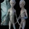 Midnight Studios "EBE Extraterrestrial Biological Entity" Professional Alien Prop -Halloween Horror Decorations Shop ebe extraterrestrial biological entity professional alien prop 8180009729