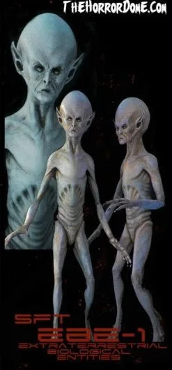 Midnight Studios "EBE Extraterrestrial Biological Entity" Professional Alien Prop