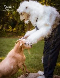 The Horror Dome "Evil Goat Man" HD Studios Pro Costume -Halloween Horror Decorations Shop evil goat man hd studios pro halloween costume 15583609258032