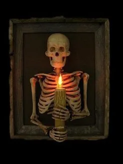 Skeletons And More "Framed 3D Skeleton Torso Holding Candle" Hanging Haunted House Decoration