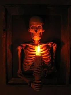 Skeletons And More "Framed 3D Skeleton Torso Holding Candle" Hanging Haunted House Decoration -Halloween Horror Decorations Shop framed 3d skeleton torso holding candle hanging haunted house decoration 28758724247600