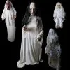 Distortions Ghostly Apparition Package Deal -Halloween Horror Decorations Shop ghostly apparition package deal 6877396238384