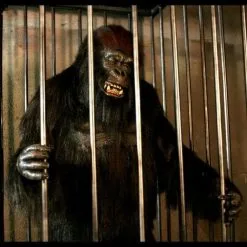 The Horror Dome "Gorilla In A Cage" Professional Halloween Animatronic 7 The Horror Dome "Gorilla In A Cage" Professional Halloween Animatronic -Halloween Horror Decorations Shop gorilla in a cage professional halloween animatronic 16861759681