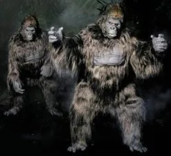 Distortions "Gorilla" Pro Quality Costume