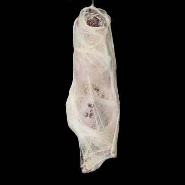 The Horror Dome "Graveyard" Halloween Props - Package Deal 6 The Horror Dome "Graveyard" Halloween Props - Package Deal - Image 4