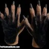 The Horror Dome Monster Hands With Black Hair - HD Studios -Halloween Horror Decorations Shop haired monster hd studios hands 28530903908400