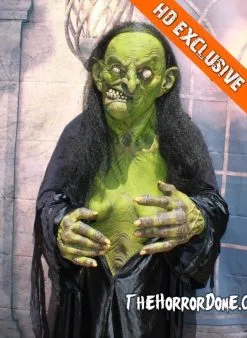 The Horror Dome "Helga The Witch" HD Studios Pro Costume -Halloween Horror Decorations Shop helga the witch hd studios pro halloween costume 12382515393