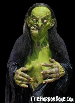 The Horror Dome "Helga The Witch" HD Studios Pro Costume