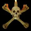 Skeletons And More "Humerus Bone Wall Sconce With 3 Inch Skull" Haunted House Lighting -Halloween Horror Decorations Shop humerus bone wall sconce with 3 inch skull haunted house lighting 14357476671536