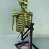 DC PROPS "Mini Popper" Skeleton Halloween Animatronic -Halloween Horror Decorations Shop mini popper skeleton halloween animatronic 23253220545