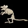 Morris "Mouse Skeleton" Animal Prop