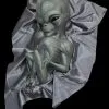 The Horror Dome "Roswell Alien Baby Crash Victim" HD Exclusive Halloween Decoration -Halloween Horror Decorations Shop new for 2022 roswell alien baby crash victim hd exclusive halloween decoration 30106370080816