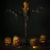 Distortions "Pumpkin Patch Combo" Animated Halloween Props - Package Deal -Halloween Horror Decorations Shop pumpkin patch combo animated halloween props package deal 28757686779952