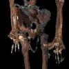 Morris "Rotted Corpse" Skeleton Halloween Prop