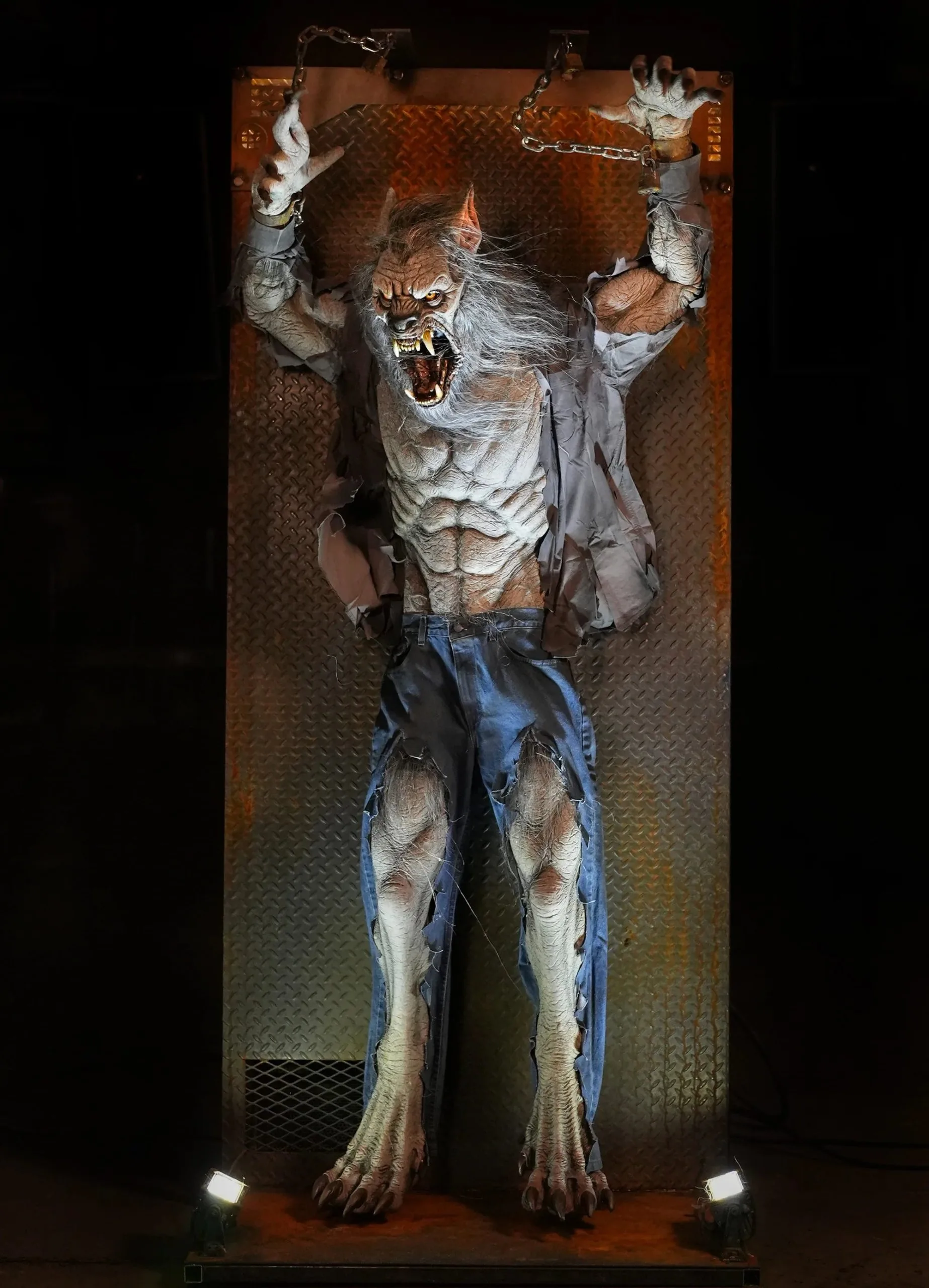 Distortions "Scare Wolf" Halloween Animatronic 5 Distortions "Scare Wolf" Halloween Animatronic - Image 3