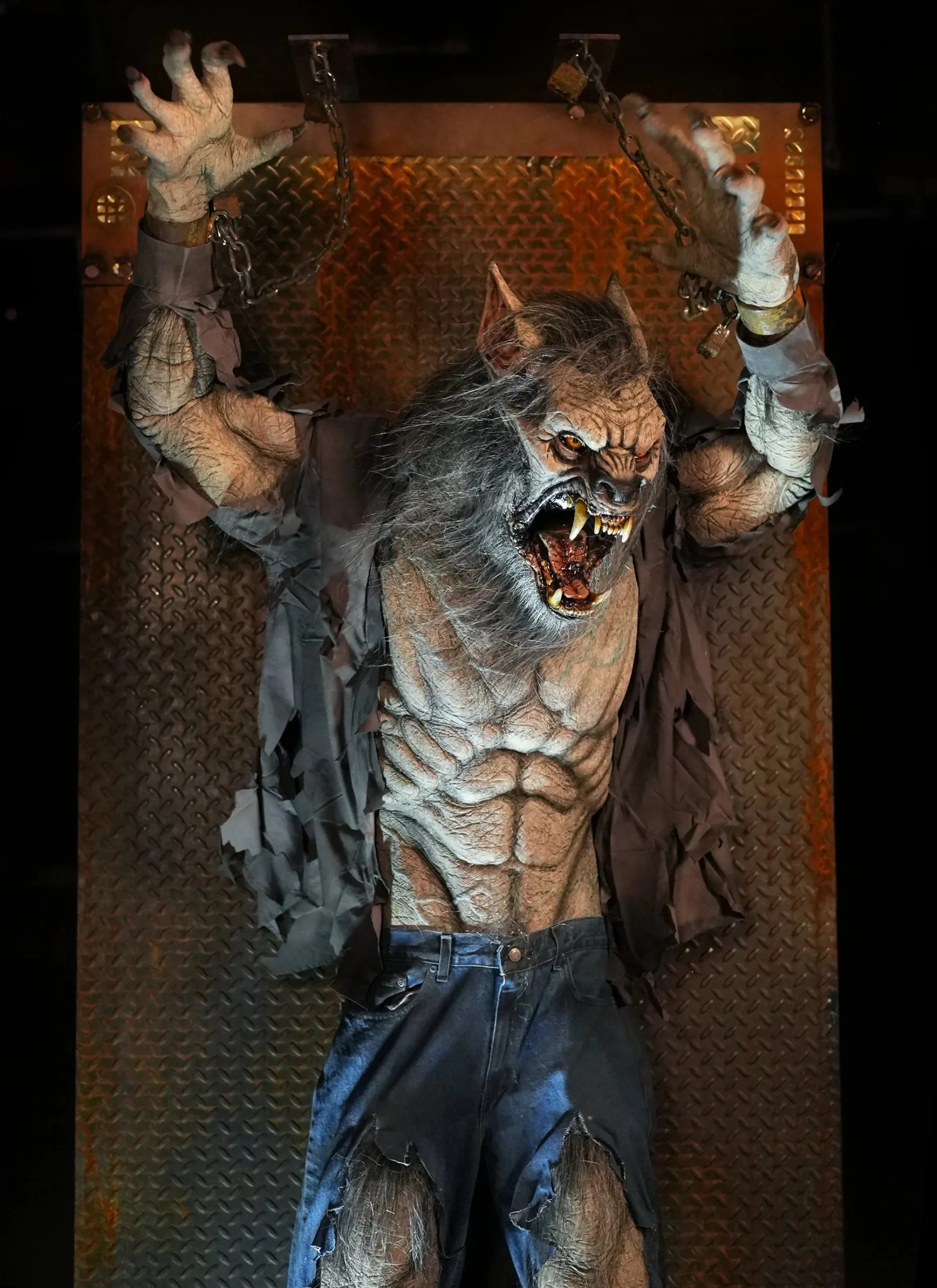 Distortions "Scare Wolf" Halloween Animatronic 7 Distortions "Scare Wolf" Halloween Animatronic - Image 5