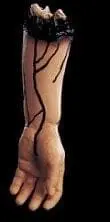 Morris "Severed Left Arm" Bloody Human Body Part Prop