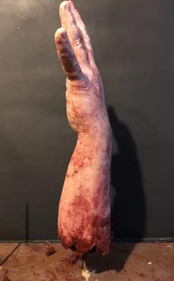 SpellBound FX And Art "Shark Bite Silicone Arm" Bloody Body Part Prop -Halloween Horror Decorations Shop shark bite silicone arm bloody body part prop 11943703412784