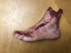 SpellBound FX And Art "Silicone Severed Left Female Foot" Body Parts Halloween Prop -Halloween Horror Decorations Shop silicone severed left female foot body parts halloween prop 11943768850480