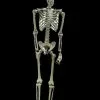 Morris "Skeleton" Hanging Halloween Prop - 60" -Halloween Horror Decorations Shop skeleton hanging halloween prop 60 14320996483120
