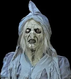 The Horror Dome "Swamp Hag" HD Studios Costume -Halloween Horror Decorations Shop swamp hag hd studios costume 30783282249776