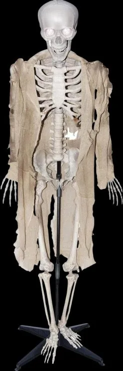 Morris "Talking Skeleton" Halloween Prop - Open Box