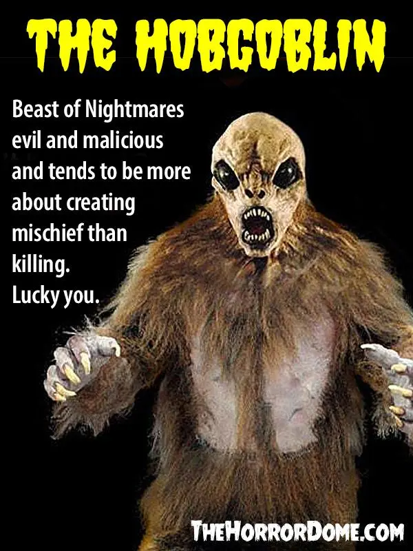 The Horror Dome "The Hobgoblin" HD Studios Pro Costume 9 The Horror Dome "The Hobgoblin" HD Studios Pro Costume - Image 7