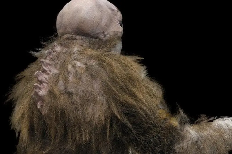 The Horror Dome "The Hobgoblin" HD Studios Pro Costume 8 The Horror Dome "The Hobgoblin" HD Studios Pro Costume - Image 6