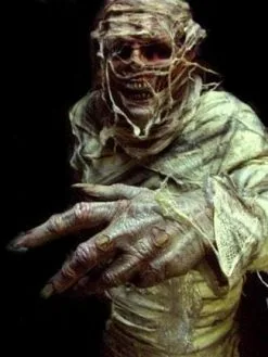 Midnight Studios "The Mummy" Professional Costume