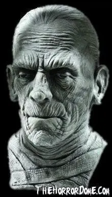 Morris "Universal Studios Mummy" Mask
