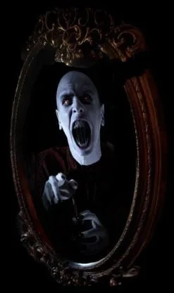 Night Frights Vampire Haunted Mirror Professional Animated Halloween Decoration -Halloween Horror Decorations Shop vampire haunted mirror professional animated halloween decoration 31598574600240