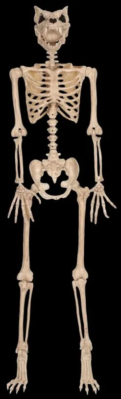 Morris "Werewolf Skeleton" Halloween Prop
