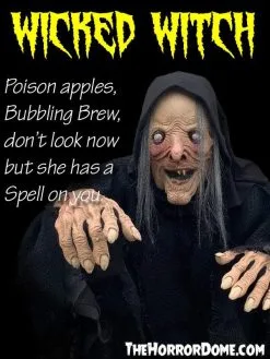 The Horror Dome "Wicked Witch" HD Comfort Costume -Halloween Horror Decorations Shop wicked witch hd studios comfort fit halloween costume 14335789858864