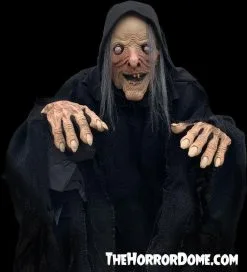 The Horror Dome "Wicked Witch" HD Comfort Costume -Halloween Horror Decorations Shop wicked witch hd studios comfort fit halloween costume 14335880822832