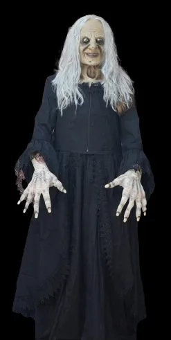 The Horror Dome "Witchy Woman" HD Studios Costume
