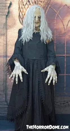 The Horror Dome "Witchy Woman" HD Studios Costume -Halloween Horror Decorations Shop witchy woman hd studios halloween costume 28885599977520