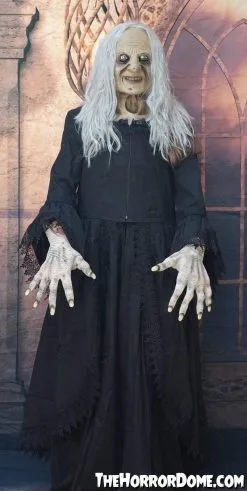 The Horror Dome "Witchy Woman" HD Studios Costume -Halloween Horror Decorations Shop witchy woman hd studios halloween costume 28885601943600
