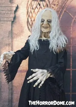 The Horror Dome "Witchy Woman" HD Studios Costume -Halloween Horror Decorations Shop witchy woman hd studios halloween costume 28885602369584