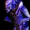 Midnight Studios "Zenomorph" Professional Costume 1 Midnight Studios "Zenomorph" Professional Costume -Halloween Horror Decorations Shop zenomorph professional halloween costume 15049105834032