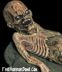 The Horror Dome "Zombie Baby" HD Studios Halloween Puppet Prop -Halloween Horror Decorations Shop zombie baby hd studios halloween puppet prop 28757064253488