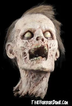 The Horror Dome "Zombie Head" HD Studios Halloween Prop